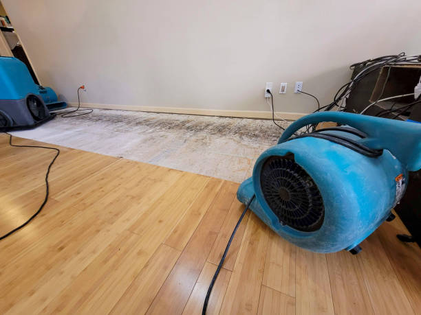 Professional Burst Pipe Water Damage technician working in Plymouth, MN